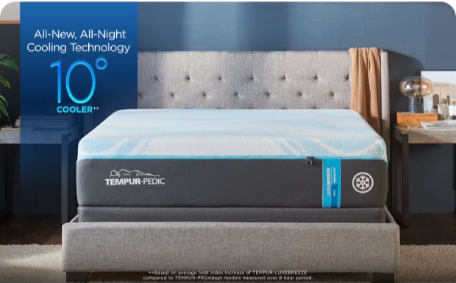 Top 10 Mattresses™ Ranked 2024 See Best Mattress To Buy